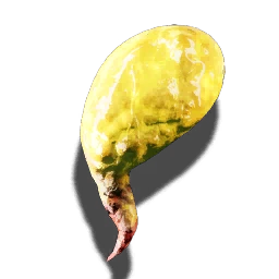Bloodfly's poison gland