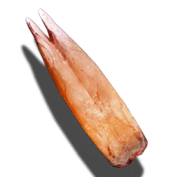 Tongue of Fire