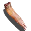 Zunge des Feuerwarans