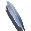 Feder