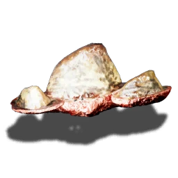 Lizard's bone scute