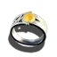 Ring der Lebenskraft