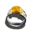 Ring der Lebendigkeit