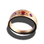 Ring des Schutzes