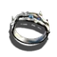 Ring der Unantastbarkeit