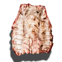 Swampshark's skin