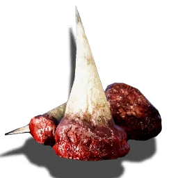 Swampshark's teeth