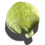 Kohl