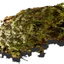 Bergmoos