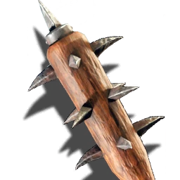 Stachelkeule