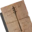 Bauplan Stachelkeule