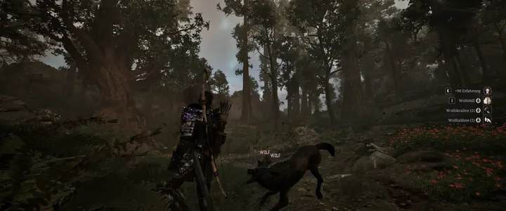 Two Wolves in the Forest, Gothic 1 Remake