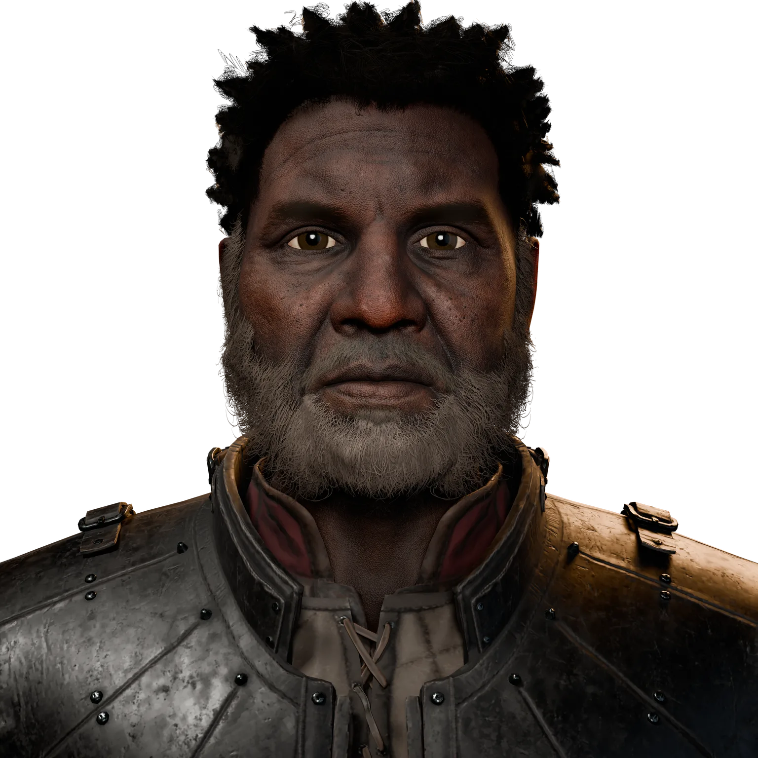 Bridge Guard01